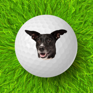 Personalized Face Golf Ball