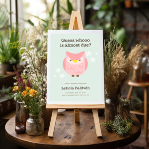 Adorable Owl Baby Shower Acrylic Welcome Sign